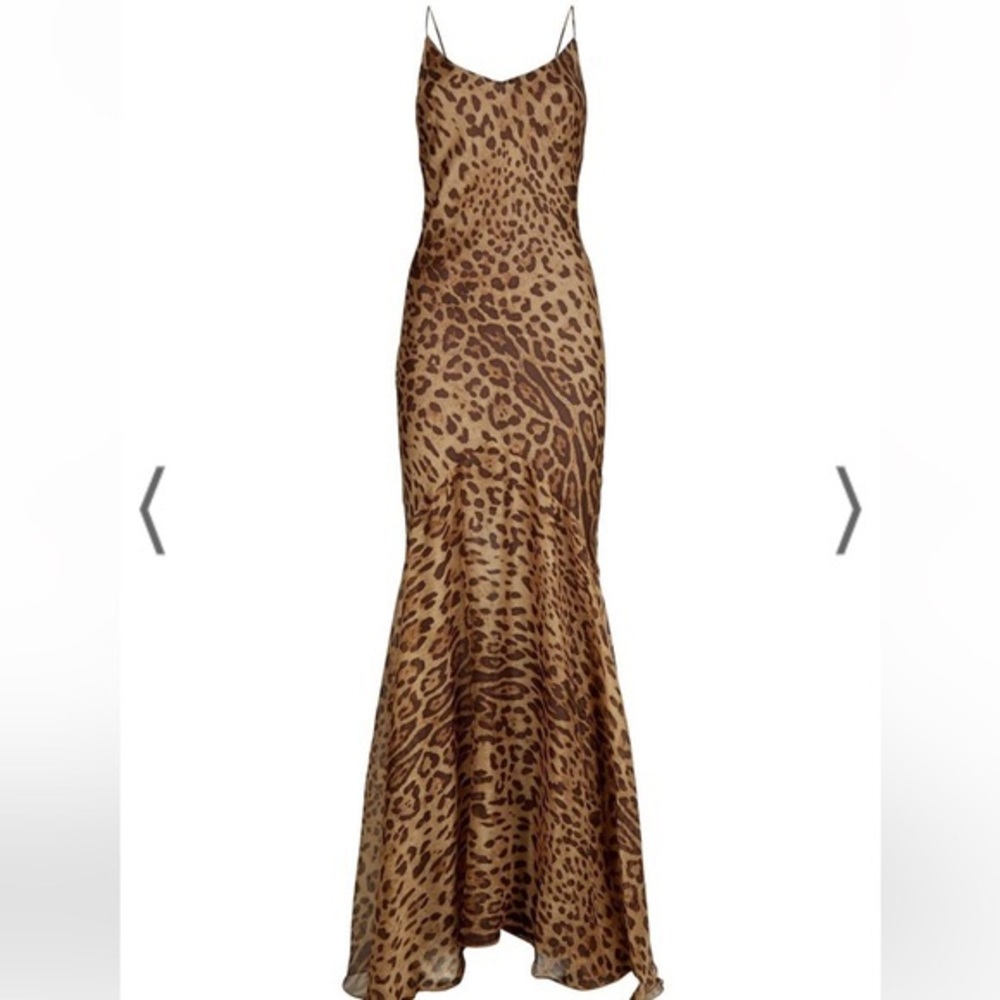 Magdalena Dress NWT